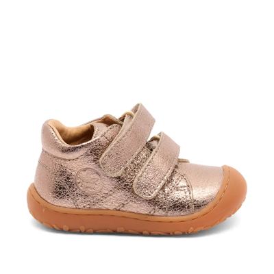 Bisgaard Hale V Prewalker