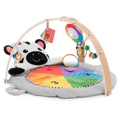 Baby Einstein Legetæppe, Zen's Activity Milestones